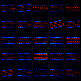 Kryoelektronenmikroskopie Abbildungen eines Flagellum-Filaments