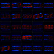 Kryoelektronenmikroskopie Abbildungen eines Flagellum-Filaments