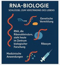 Grafische Darstellung RNA-Biologie