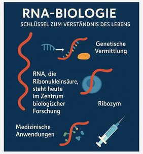 Grafische Darstellung RNA-Biologie