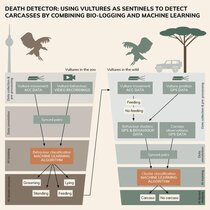 Illustration (graphical abstract) der Entwicklung der Künstlichen Intelligenz-Algorithmen