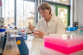 Julia Bandow sucht mit ihrem Team nach neuen Antibiotika. 