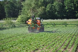 Pestizide in der Landwirtschaft  Verlust der Biodiversität