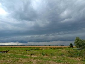 Ein Gewitterwolken-Cluster mit typischer Böenwalze kurz vor Beginn starker Regenfälle