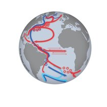  Atlantische Meridionalzirkulation