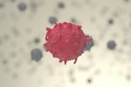 Th17-Immunzellen spielen eine wesentliche Rolle bei der Entstehung und Erhaltung von Autoimmunerkrankungen. 