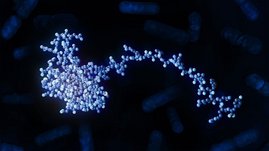 Atomares Modell des RbpB-Proteins von Bacteroides thetaiotaomicron