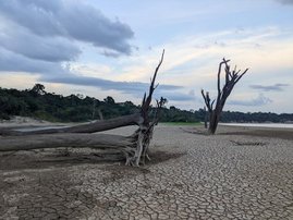 Ausgetrocknetes Flussbett des Uatumã-Flusses im brasilianischen Amazonas- Regenwald