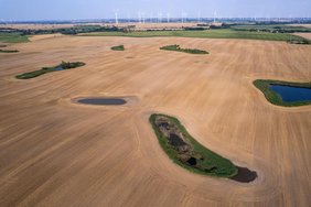 Kleingewässer und Windenergieanlagen in der Agrarlandschaft  