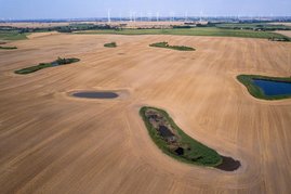 Kleingewässer und Windenergieanlagen in der Agrarlandschaft Kleingewässer und Windenergieanlagen in der Agrarlandschaft