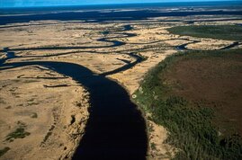 Hochmoor in der Region Archangelsk 