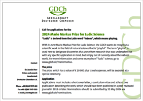 Abbildung (Flyer), die WEckdaten zum Mario-Markus-Preis enthält