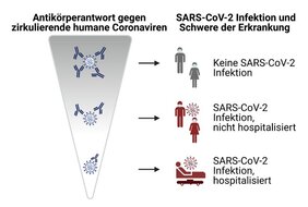  Starke Antikörperreaktionen gegen harmlose Coronaviren 