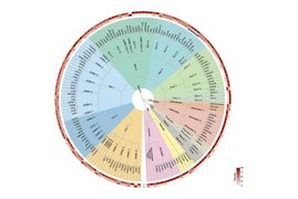 Die HypoMAP ist eine detaillierte Karte des menschlichen Hypothalamus