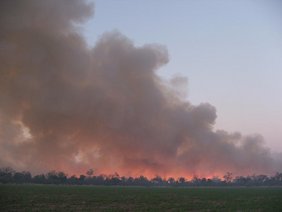 Großflächige Brände im südamerikanischen Chaco, eine der größten Trockenwaldregionen der Welt, die sich über die Länder Argentinien, Bolivien und Paraguay erstreckt. Das Foto wurde im September 2011 im argentinischen Chaco aufgenommen. 