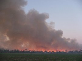 Großflächige Brände im südamerikanischen Chaco, eine der größten Trockenwaldregionen der Welt, die sich über die Länder Argentinien, Bolivien und Paraguay erstreckt. Das Foto wurde im September 2011 im argentinischen Chaco aufgenommen. 