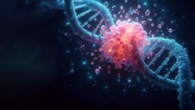 Die gebrochenen DNA-Enden werden durch den klebrigen Klumpen des PARP1-Proteins zusammengehalten.