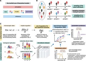 Grafik Parameterinferenz-Workflow und Eigenschaften mikrobieller Daten