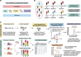 Grafik Parameterinferenz-Workflow und Eigenschaften mikrobieller Daten