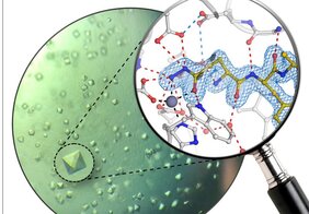 Proteinkristalle des humanen Enzyms Glutaminylzyklase und atomare Struktur des neuen Inhibitors. 