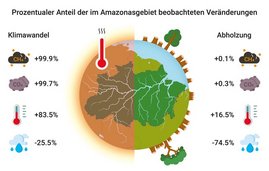 Darstellung der prozentualen Anteile des globalen Klimawandels und der Entwaldung zu Veränderungen bei Methan, Kohlendioxid, maximaler Oberflächentemperatur und Gesamtniederschlag während der Trockenzeit.