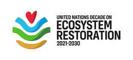 UN-Dekade für die Wiederherstellung von Ökosystemen