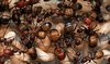 Ein Nest der Zimmermannsameise „Camponotus nicobarensis“