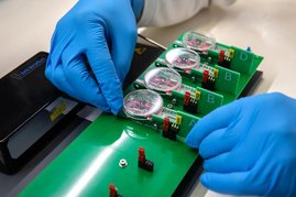 Erlauben den Test an menschlichem Gewebe: Lebende Herzschnitte für die Erprobung der neuen RNA-Therapie. Erlauben den Test an menschlichem Gewebe: Lebende Herzschnitte für die Erprobung der neuen RNA-Therapie.