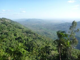 Tropische Bergwälder unterschätzte Kohlenstoffspeicher