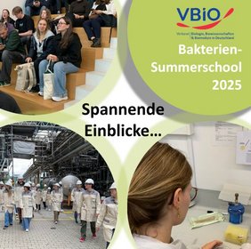 Collage mit mehreren Fotos der Bakteriensummerschool