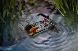 Der Schwimmroboter im Wasser
