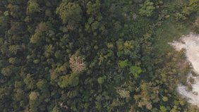 Luftbild, das die Vielfalt der Abholzung und der Regenerationsprozesse tropischer Wälder in Ghana verdeutlicht. Luftbild, das die Vielfalt der Abholzung und der Regenerationsprozesse tropischer Wälder in Ghana verdeutlicht.