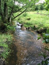 Pestizidrisiken auch in Naturschutzgebieten