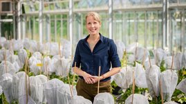 Brigitte Poppenberger, Professorin für Biotechnologie gartenbaulicher Kulturen an der TUM