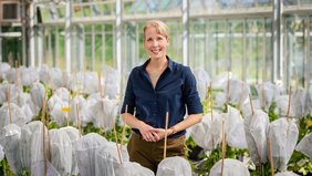 Brigitte Poppenberger, Professorin für Biotechnologie gartenbaulicher Kulturen an der TUM Brigitte Poppenberger, Professorin für Biotechnologie gartenbaulicher Kulturen an der TUM
