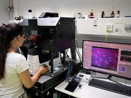 Frau im Labor am Computer