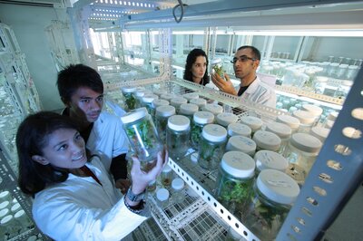 Pflanzenforscher im Labor