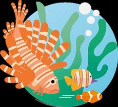 Grafische Darstellung Rotfeuerfisch und Clownfische