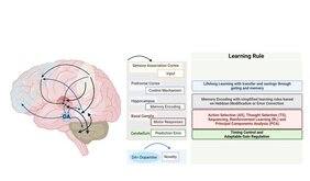 neuronales Netz und Lernregeln 