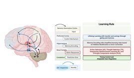 neuronales Netz und Lernregeln 