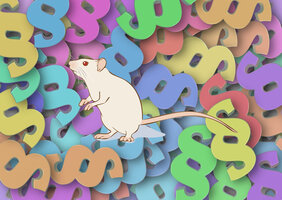 Grafische Darstellung: Weiße Ratte vor bunten Paragraphenzeichen