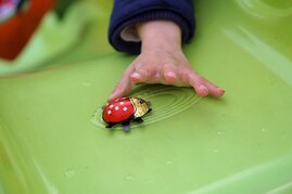 Selbstkontrolle Gehirn Kinder