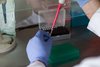 Neuschreibung des Regelwerks der RNA Zwei hände mit Pipette