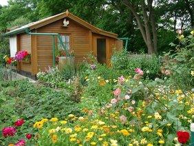 Kleingarten mit bunten Pflanzen