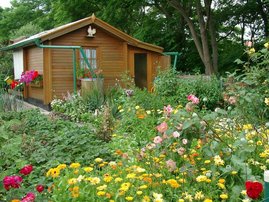 Kleingarten mit bunten Pflanzen