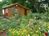 Kleingarten mit bunten Pflanzen