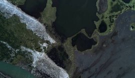 Treibholzansammlungen entlang artkischer Küsten