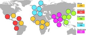 Grafik Welt mit  Genomdatensätze von fünf Kontinenten und aus 26 Populationen