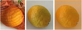 Orangen