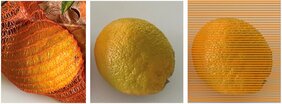 Orangen